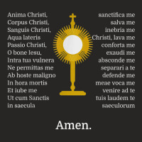 Anima Christi Tshirt Soul Of Christ Sanctify Catholic Latin Ladies Fitted T-shirt | Artistshot