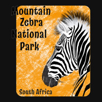 Limited Edition Mountain Zebra National Park, South Africa Graphic Youth T-shirt | Artistshot