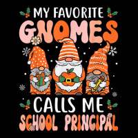 School Principal Groovy Christmas Gnomes Principal T Shirt Women's V-neck T-shirt | Artistshot