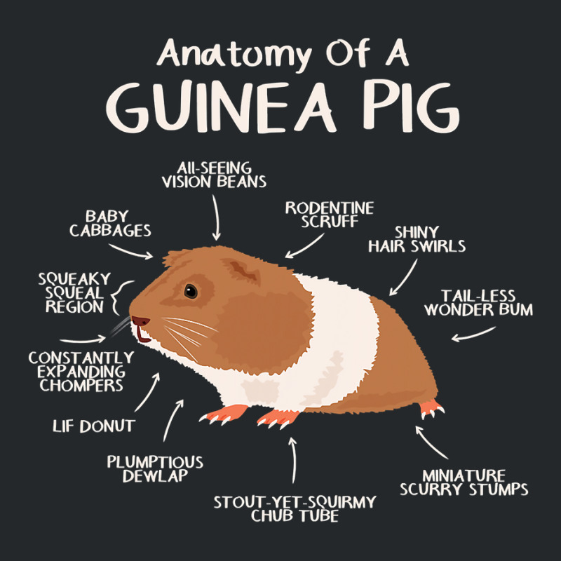 Anatomy Of A Guinea Pig Clothes Cavy Outfit Gift Guinea Pig Crewneck Sweatshirt | Artistshot