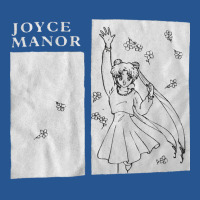 Joyce Manor Classic Ladies Fitted T-shirt | Artistshot