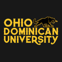 Ohio Dominican Girl Tumblr Flannel Shirt | Artistshot