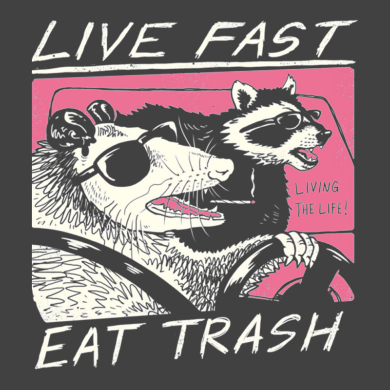 Live Fast Eat Trash Vintage T-shirt | Artistshot