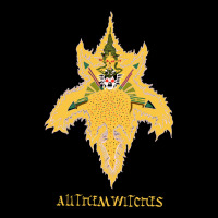 All Them Witches Atw Colourful Skull Adjustable Cap | Artistshot