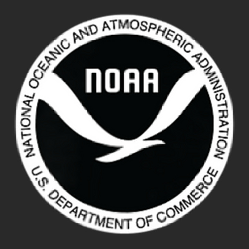 Trending National Oceanic & Atmospheric Administration W&b Noaa Toddler T-shirt by Crews Micki | Artistshot