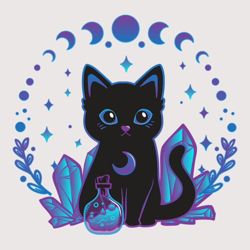 Cute Witchy Black Cat Crystal Alchemy Kawaii Pastel Goth Pullover Hood Pocket T-shirt | Artistshot