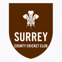 Surrey County Cricket Club Baby Nostalgia T-shirt | Artistshot