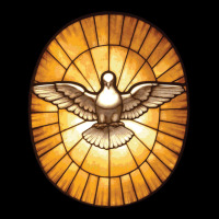 Holy Spirit Dove From St Peter S Basilica Fleece Short | Artistshot