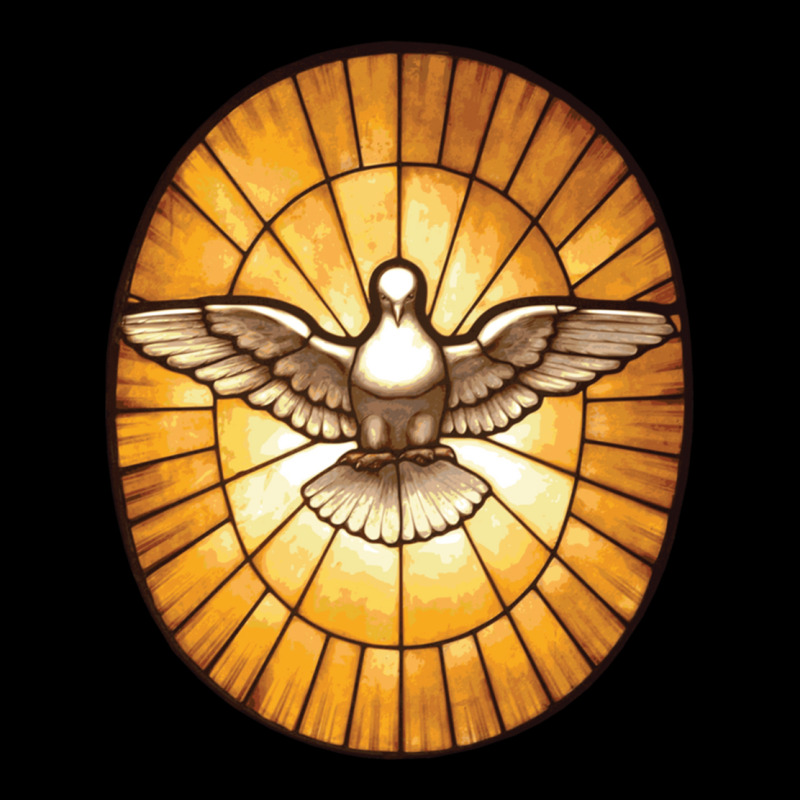 Holy Spirit Dove From St Peter S Basilica Fleece Short | Artistshot