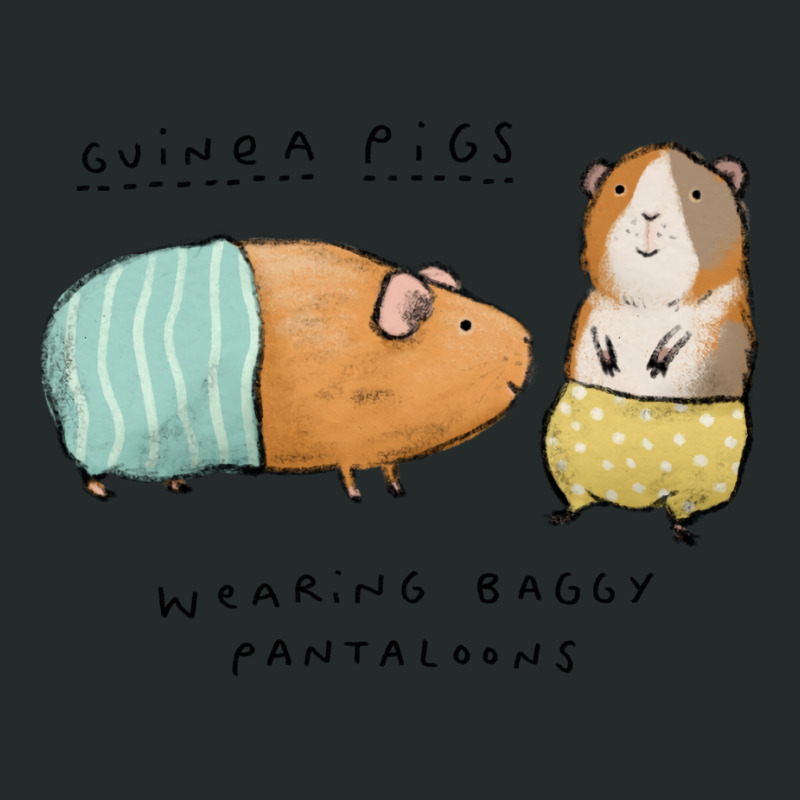 Guinea Pigs Wearing Baggy Pantaloons Vintage Women's Triblend Scoop T-shirt by xhixhodaylyna | Artistshot