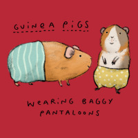 Guinea Pigs Wearing Baggy Pantaloons Vintage Women's V-neck T-shirt | Artistshot