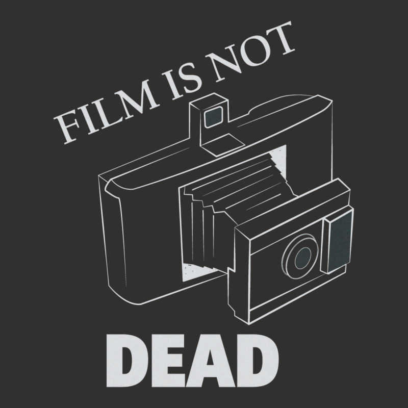 Film Is Not Dead Land Film Camera   Retro Champion Hoodie | Artistshot