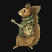 Squirrel With A Banjo Baby  Blue Graphic T-shirt | Artistshot