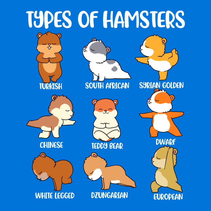 Types Of Hamsters Funny Hamster Music Girl Graphic T-shirt | Artistshot