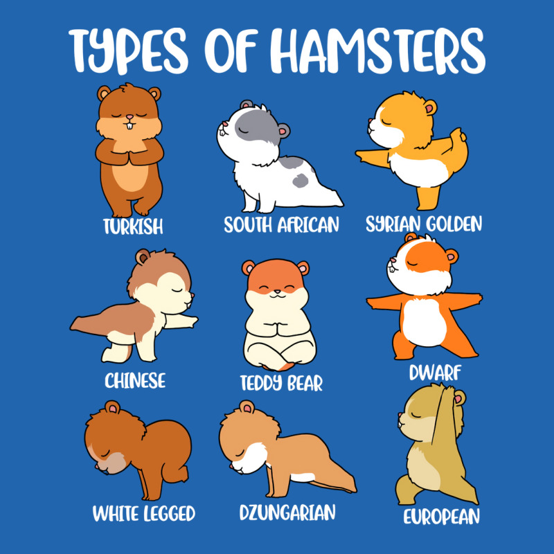 Types Of Hamsters Funny Hamster Music Girl Pocket T-shirt | Artistshot