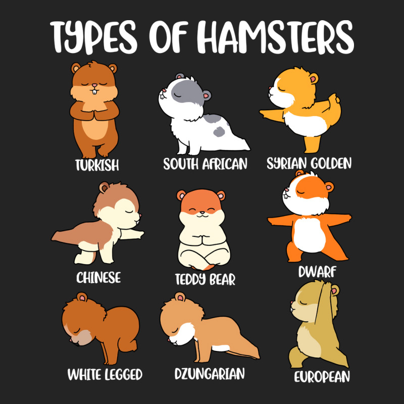 Types Of Hamsters Funny Hamster Music Girl 3/4 Sleeve Shirt | Artistshot