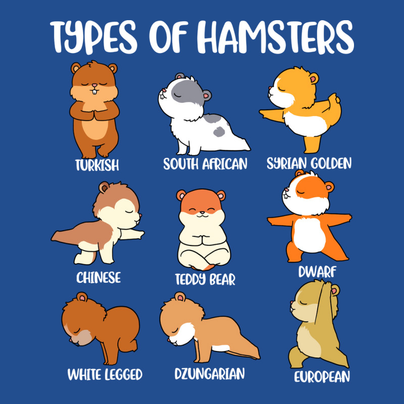 Types Of Hamsters Funny Hamster Music Girl Unisex Hoodie | Artistshot