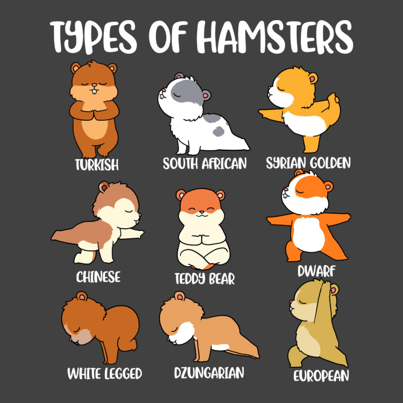 Types Of Hamsters Funny Hamster Music Girl Vintage T-shirt | Artistshot