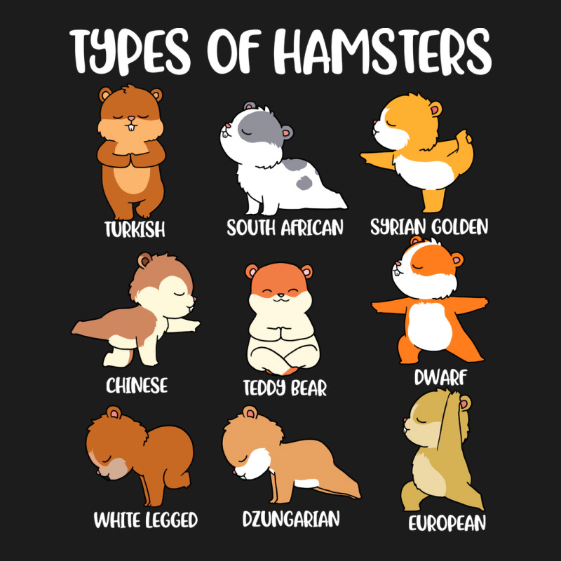 Types Of Hamsters Funny Hamster Music Girl Hoodie & Jogger Set | Artistshot