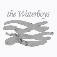 The Waterboys   Music T-shirt | Artistshot