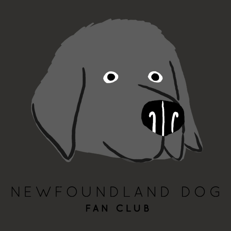 Newfoundland Dog Fan Club Baby Aesthetic Champion Hoodie | Artistshot