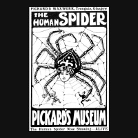 Spidora The Human Spider Graphic T-shirt | Artistshot