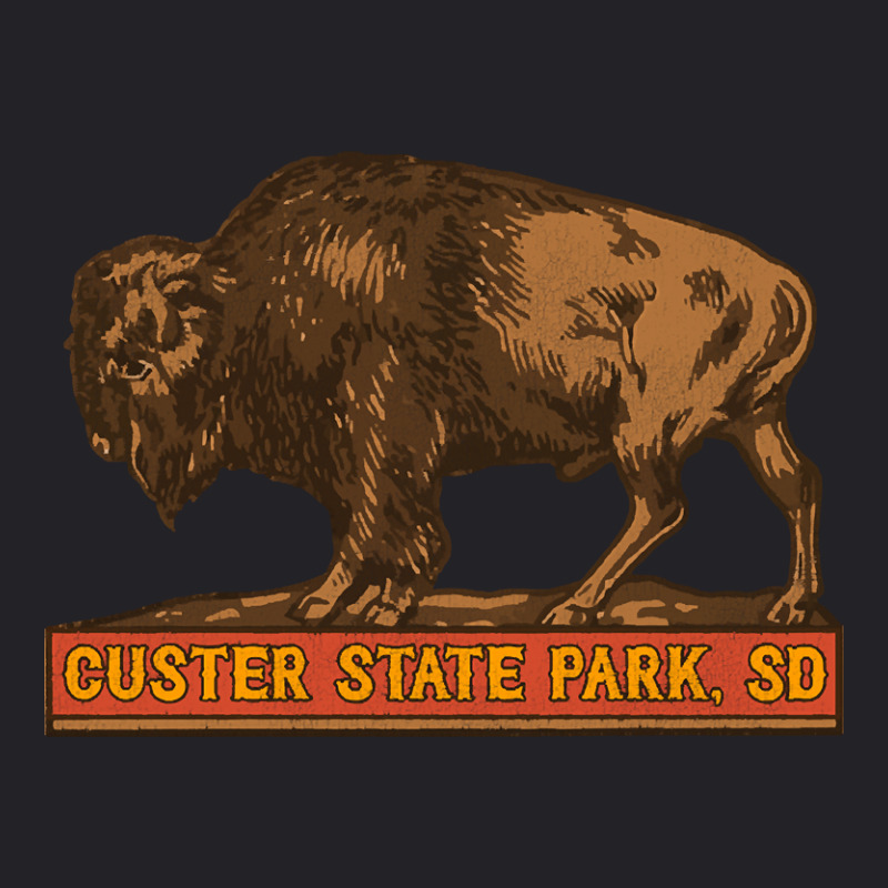 Limited Edition Custer State Park Vintage Buffalo Souvenir Youth Tee by Box Bingham | Artistshot