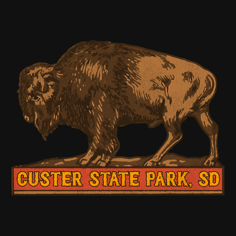 Limited Edition Custer State Park Vintage Buffalo Souvenir Baby Bibs by Box Bingham | Artistshot