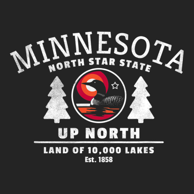 Limited Edition Minnesota North Star State Up North With Loon 3/4 Sleeve Shirt | Artistshot