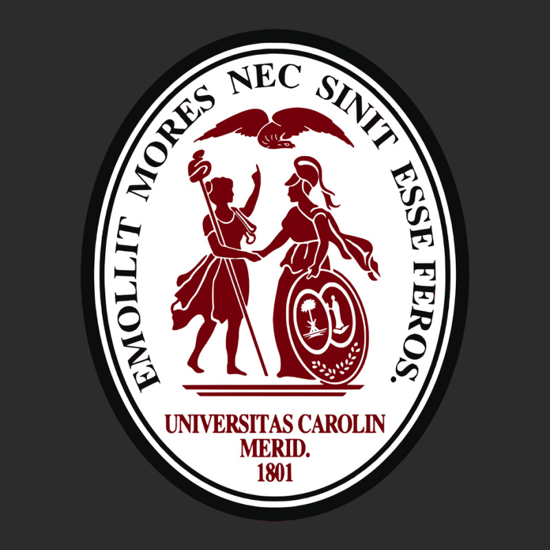 University Of South Carolin Exclusive T-shirt by RosemanShop | Artistshot