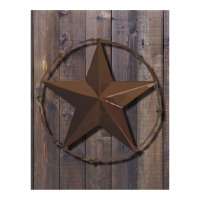 Primitive Barn Wood Brown Star   Vintage Funny V-neck Tee | Artistshot