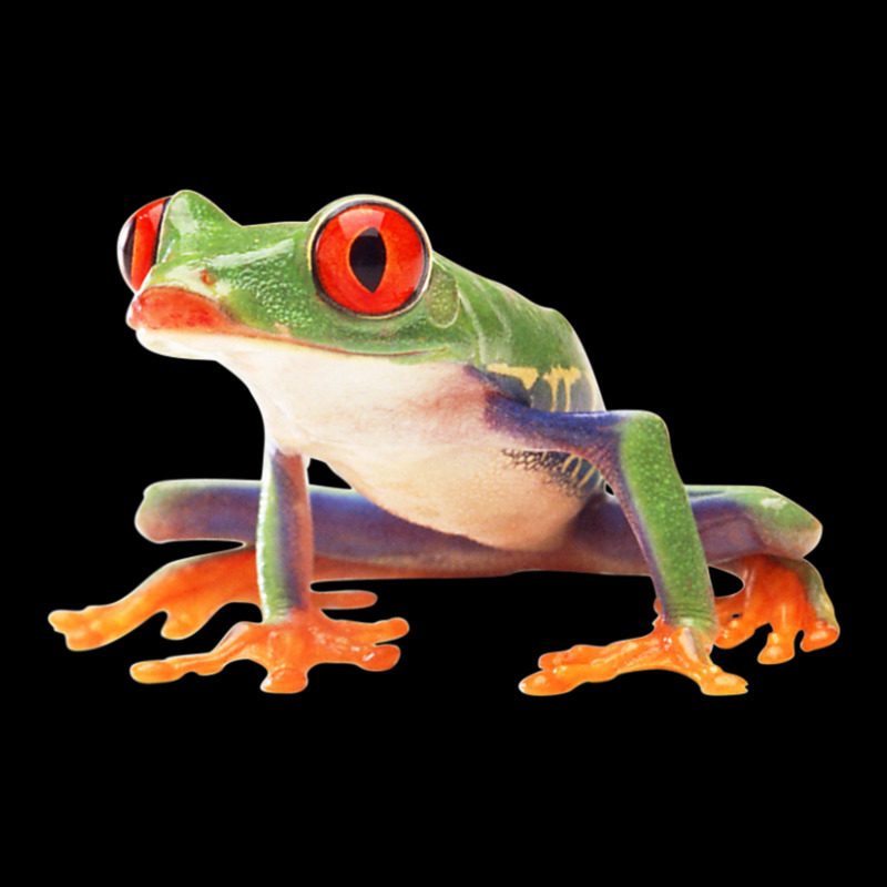 Trending Red-eyed Tree Frog Clothing Agalychnis Callidryas Adjustable Cap | Artistshot