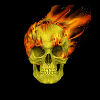 Skull Flame Fleece Short | Artistshot