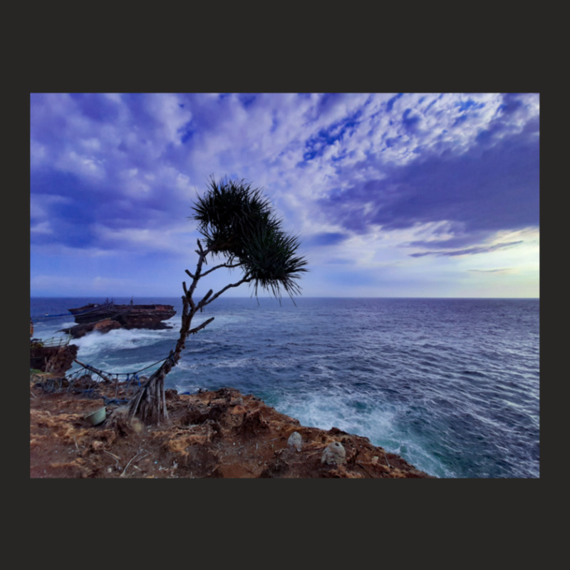 A Palm Tree On Rock Plateau With A Rock Island In The Sea Ladies Fitted T-Shirt by ArlenMadera | Artistshot