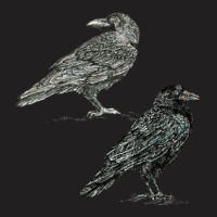 Crows 1 T-shirt | Artistshot