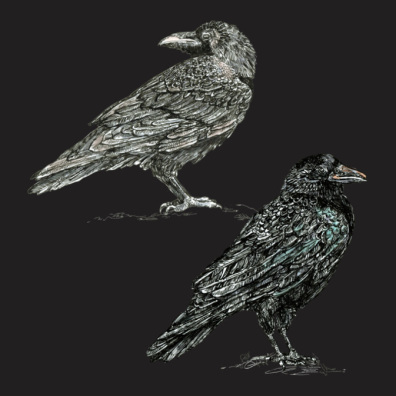 Crows 1 T-shirt | Artistshot