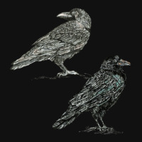 Crows 1 Graphic T-shirt | Artistshot