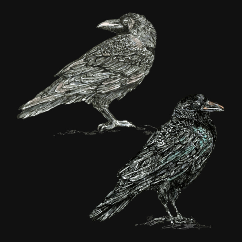 Crows 1 Graphic T-shirt | Artistshot