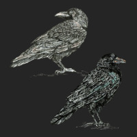 Crows 1 Unisex Hoodie | Artistshot