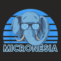 Micronesia T Shirt Ladies Fitted T-shirt | Artistshot