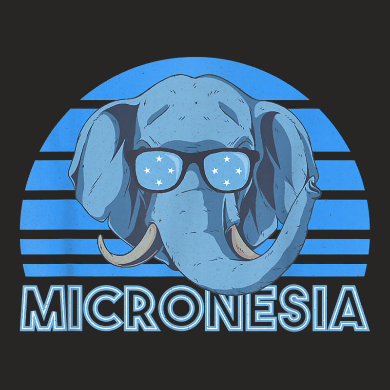 Micronesia T Shirt Ladies Fitted T-Shirt by kylrahal8pot | Artistshot