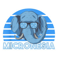 Micronesia T Shirt Baby Tee | Artistshot