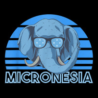 Micronesia T Shirt Youth Hoodie | Artistshot