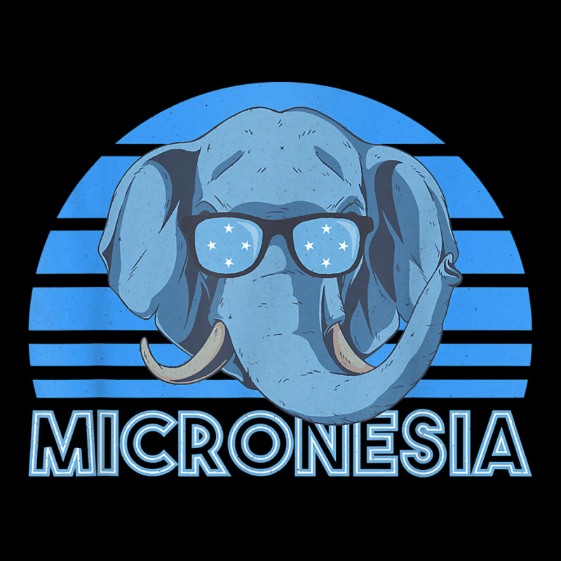 Micronesia T Shirt Youth Hoodie by kylrahal8pot | Artistshot