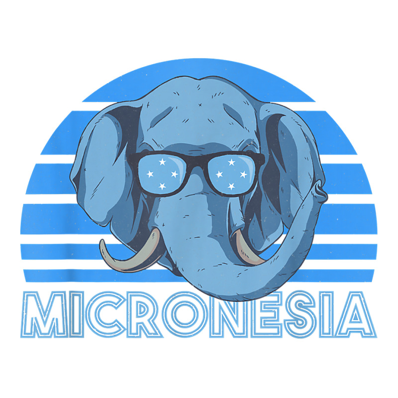 Micronesia T Shirt Youth Zipper Hoodie by kylrahal8pot | Artistshot