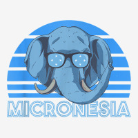 Micronesia T Shirt Baby Bibs | Artistshot