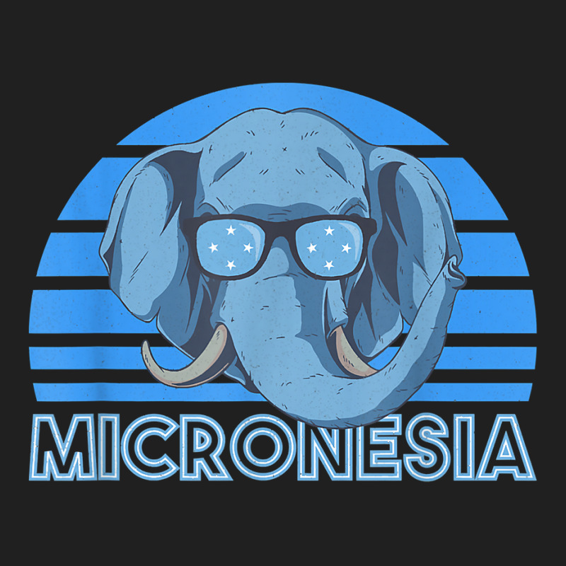 Micronesia T Shirt Ladies Polo Shirt by kylrahal8pot | Artistshot