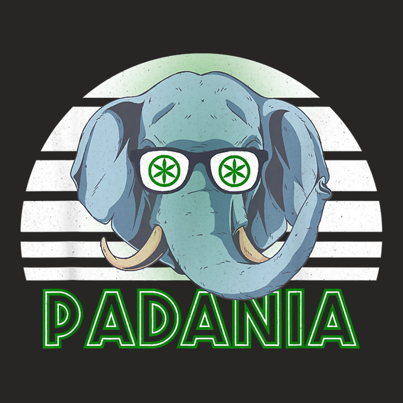 Padania T Shirt Ladies Fitted T-Shirt by xq8pjbeamer | Artistshot