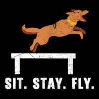 Sit Stay Fly Dock Diving Canine Water Sport Dock Diver T Shirt Women's V-neck T-shirt | Artistshot