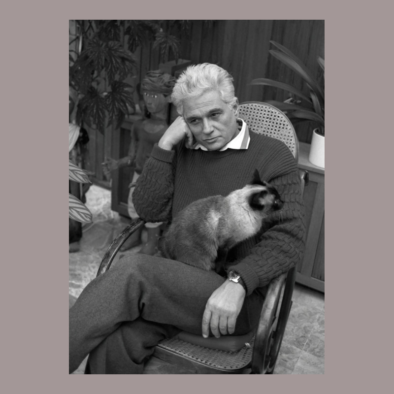 Derrida And A Cat Poster Gift Vintage Hoodie | Artistshot